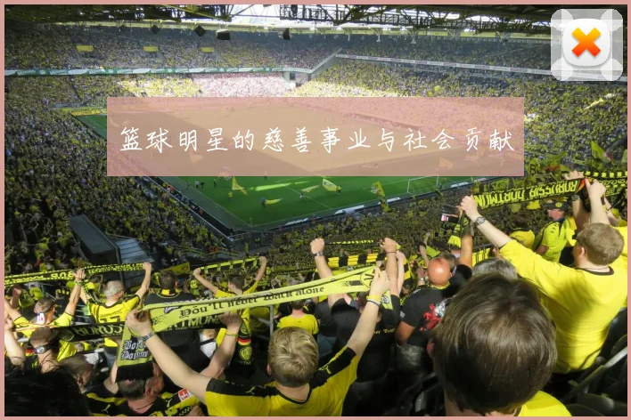 篮球明星的慈善事业与社会贡献