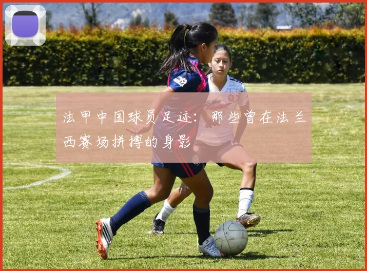 法甲中国球员足迹：那些曾在法兰西赛场拼搏的身影