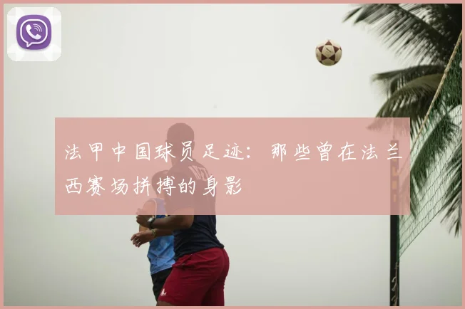 法甲中国球员足迹:那些曾在法兰西赛场拼搏的身影